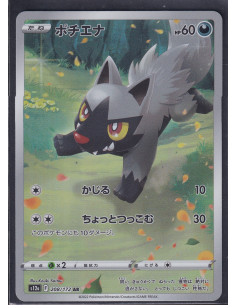 Poochyena (s12a 208) VSTAR...