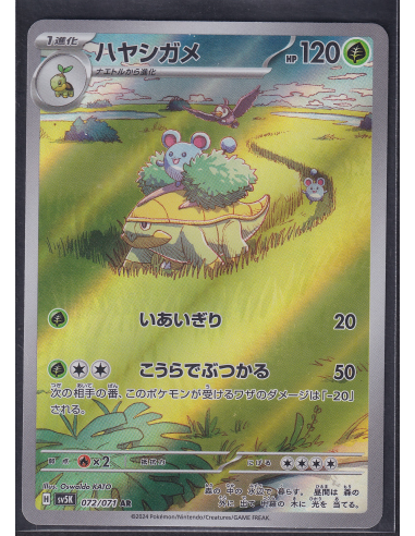 Grotle (sv5K 072) Wild Force K2