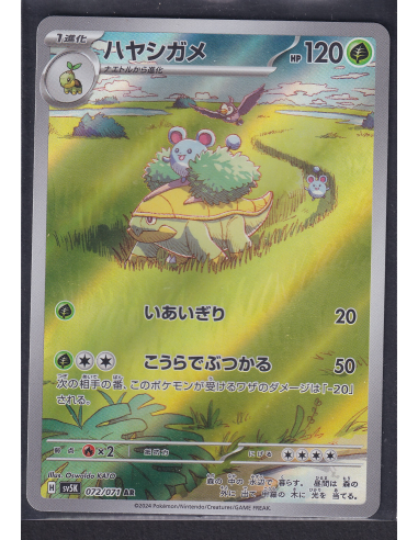 Grotle (sv5K 072) Wild Force K7