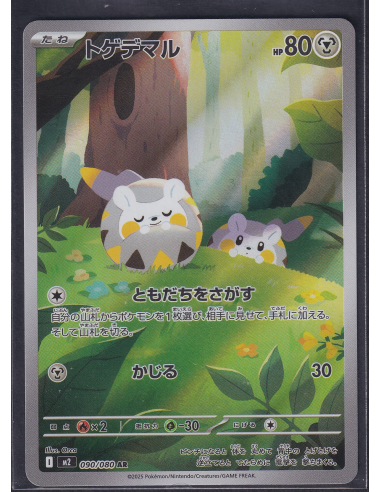 Togedemaru (m2 090) Inferno X L5