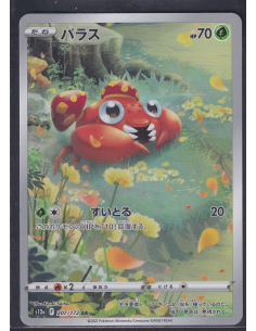 Paras (s12a 207) VSTAR...