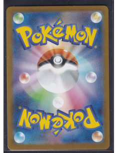 Team Rocket's Raticate... 2
