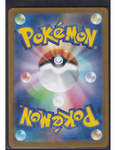 Team Rocket's Raticate... 2