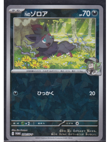 N's Zorua (SV-P 200) Scarlet & Violet Promos