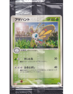 Beautifly 005/PCG-P Sealed...